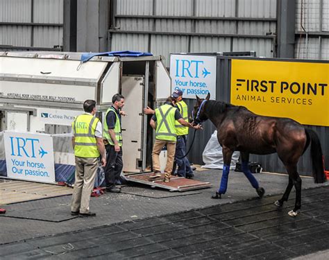 irt horse transport.